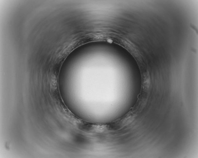 X0000100910469200807011248
