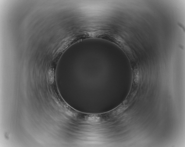 X0000100910471200807011248