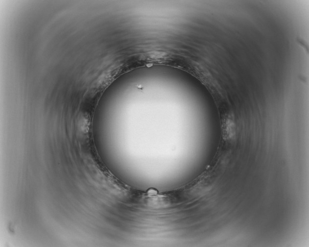 X0000100910472200807011248