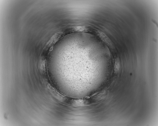 X0000100910473200807011248