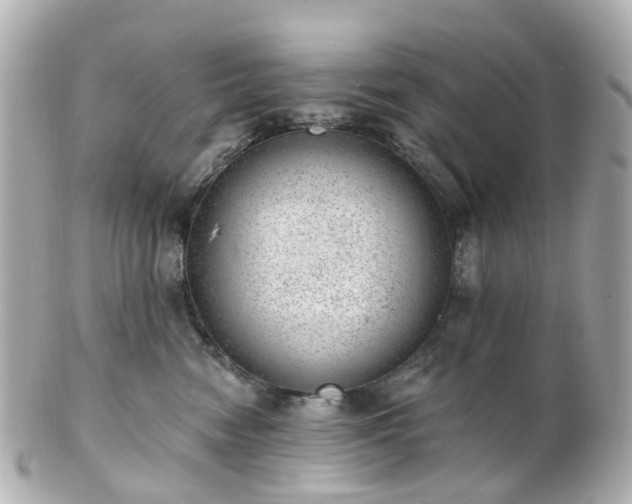 X0000100910474200807011248