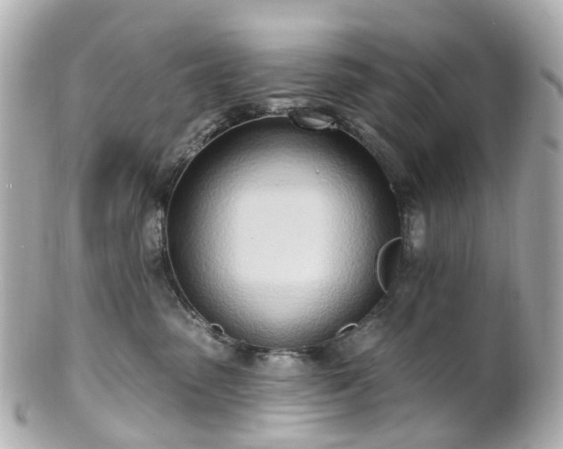 X0000100910475200807011248