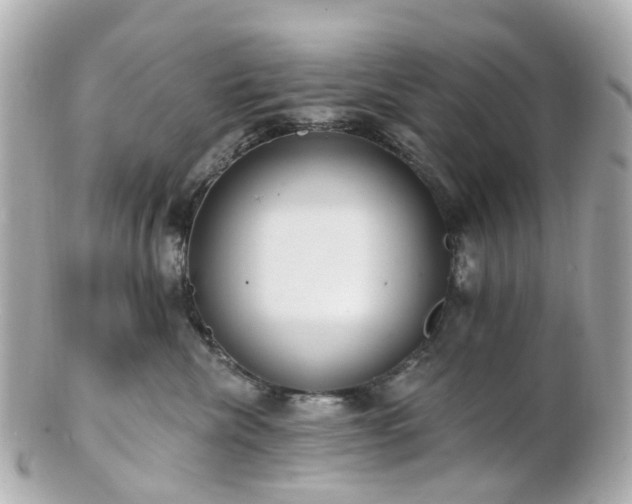 X0000100910476200807011248