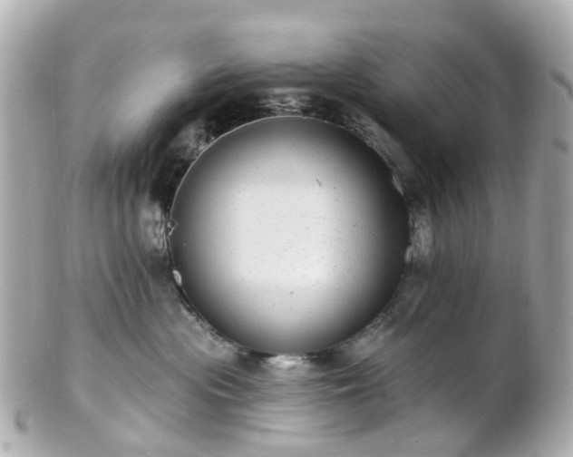 X0000100910477200807011248