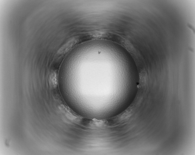 X0000100910479200807011248