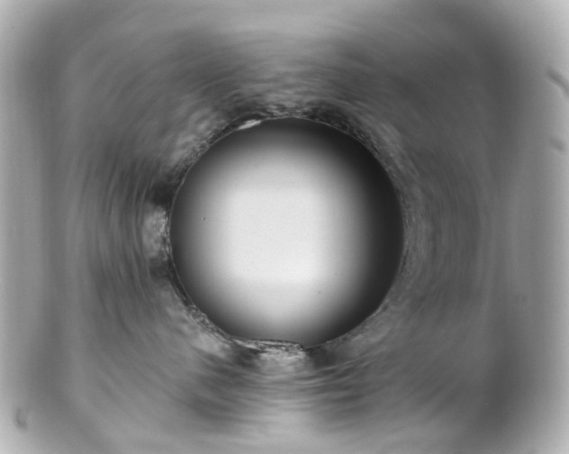 X0000100910480200807011248