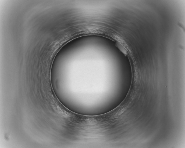 X0000100910481200807011247