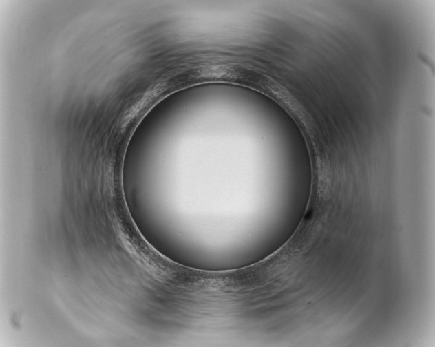 X0000100910482200807011247
