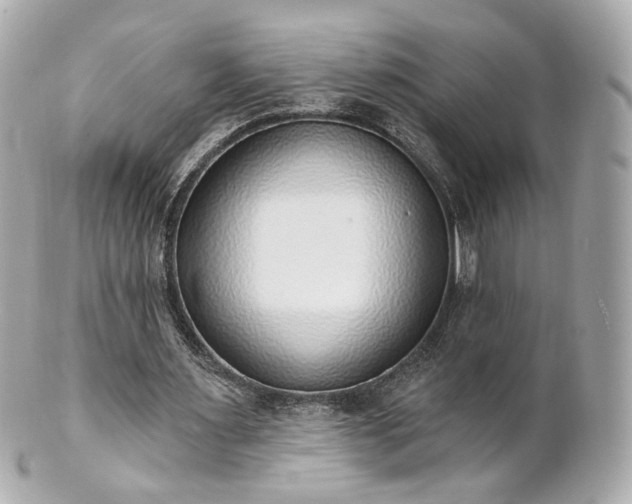 X0000100910483200807011247