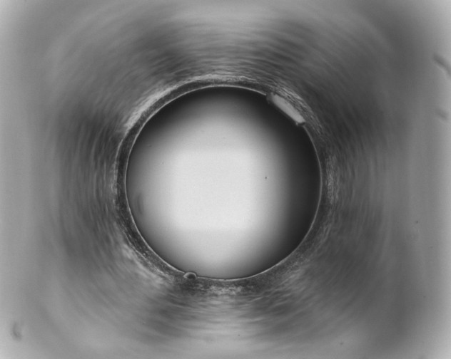 X0000100910484200807011247