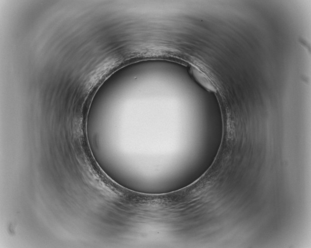 X0000100910485200807011247