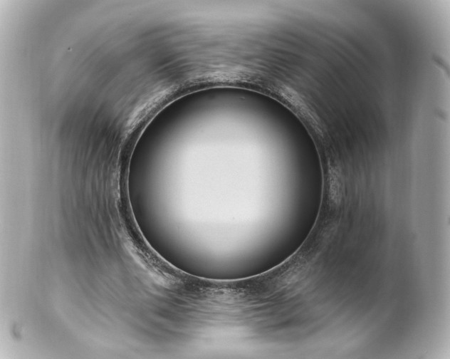 X0000100910486200807011247