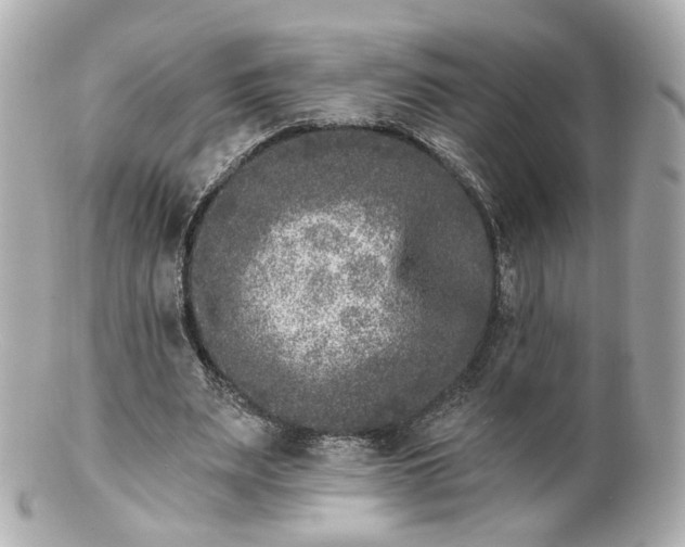 X0000100910487200807011247
