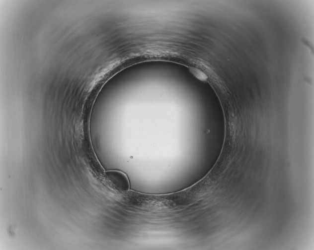 X0000100910488200807011247