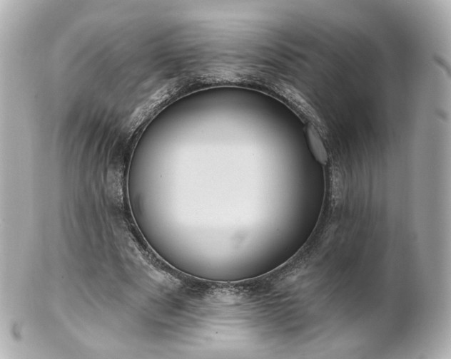 X0000100910489200807011247