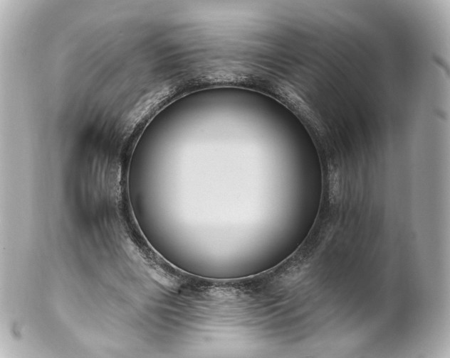 X0000100910490200807011247