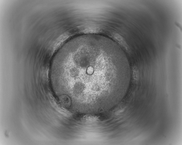 X0000100910491200807011247