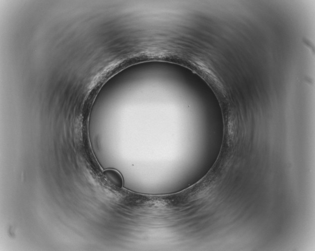 X0000100910492200807011247