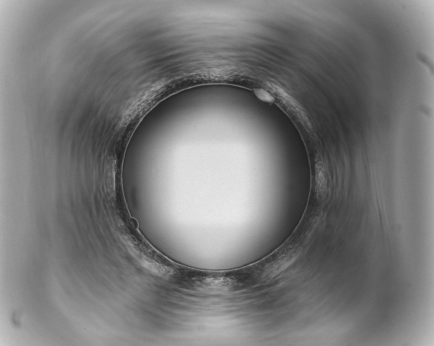 X0000100910493200807011247