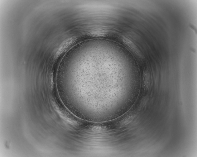 X0000100910494200807011247