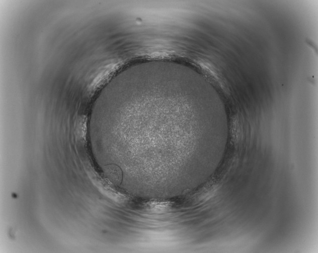 X0000100910495200807011247