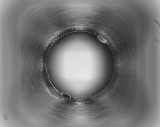 X0000100910496200807011247