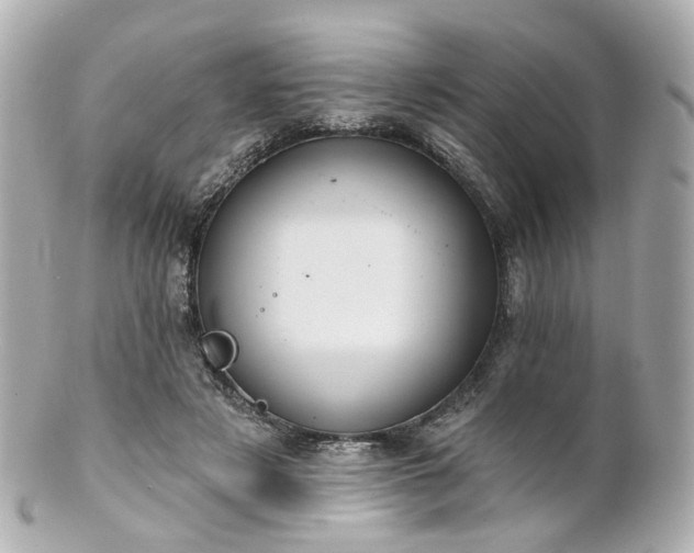 X0000100910497200807011247