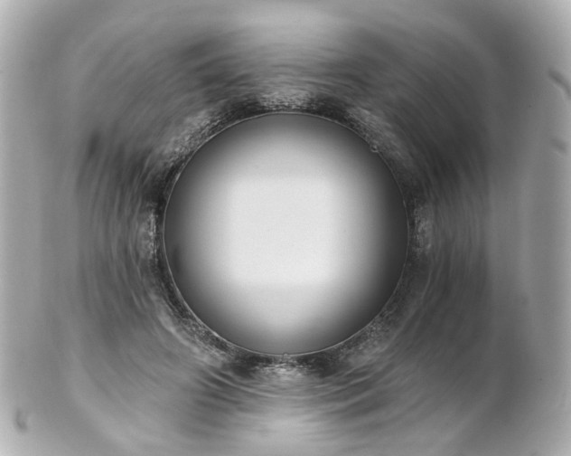 X0000100910498200807011247