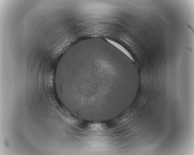 X0000100910499200807011247