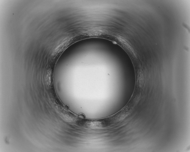 X0000100910501200807011247