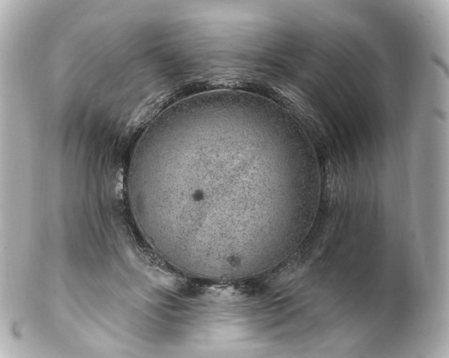 X0000100910502200807011247