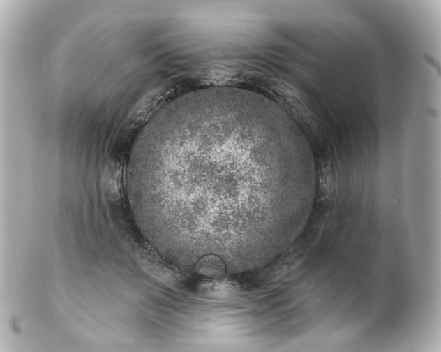 X0000100910503200807011247