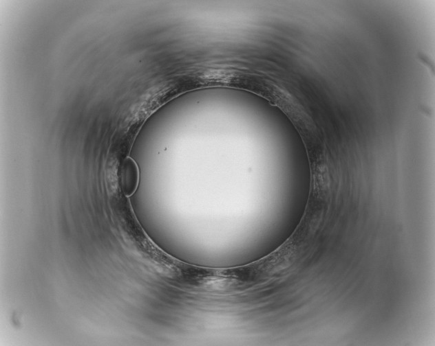 X0000100910504200807011247
