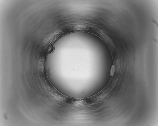 X0000100910505200807011247