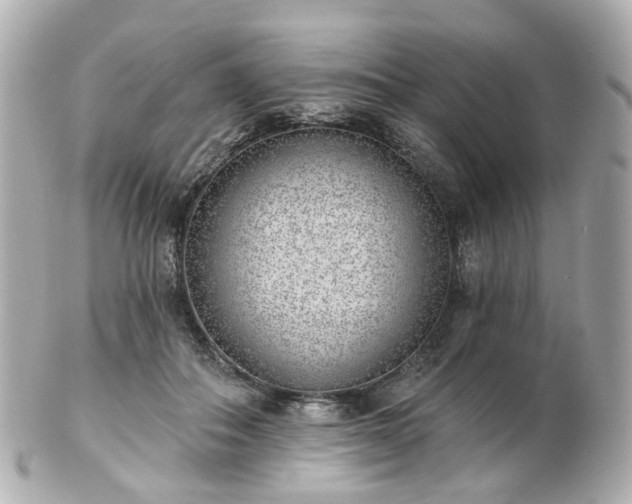 X0000100910506200807011247