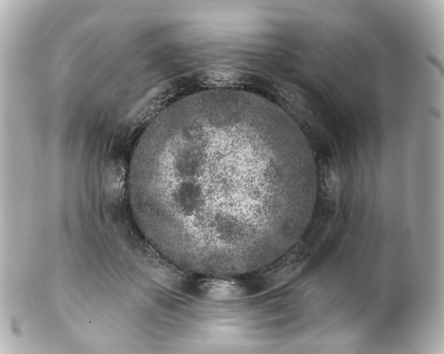 X0000100910507200807011247