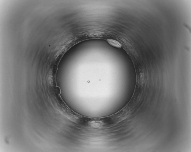 X0000100910508200807011247