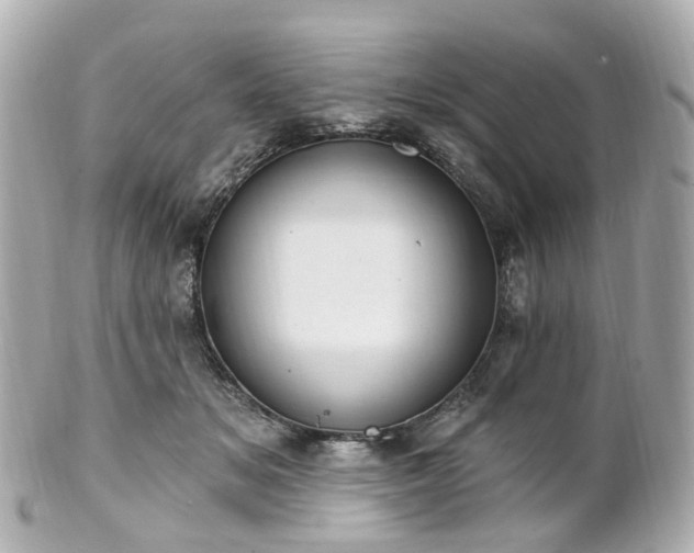 X0000100910509200807011247