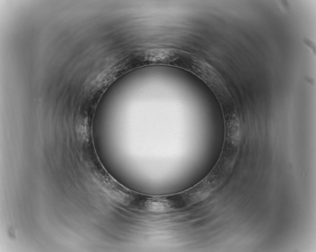 X0000100910510200807011247