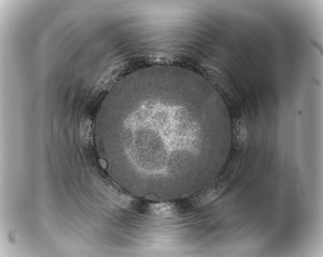 X0000100910511200807011247