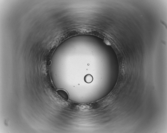X0000100910512200807011247