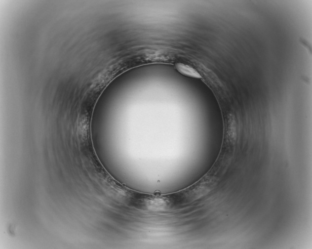 X0000100910513200807011247