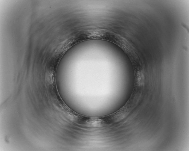X0000100910514200807011246