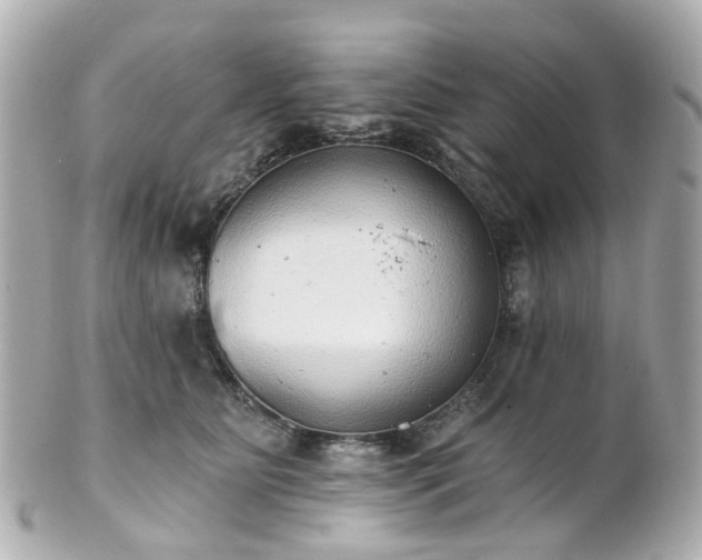 X0000100910515200807011246