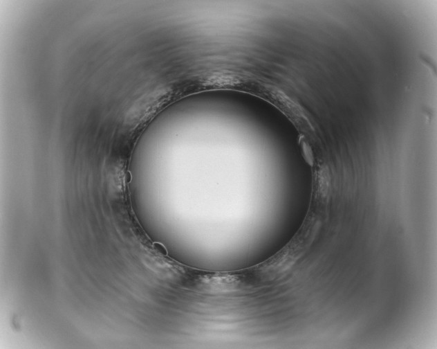 X0000100910517200807011246