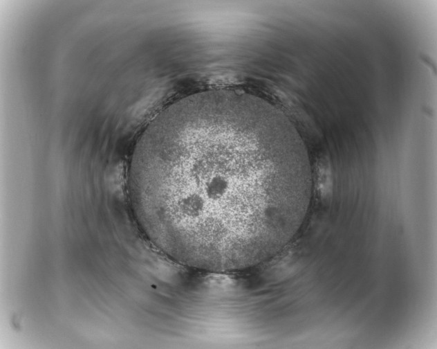 X0000100910519200807011246