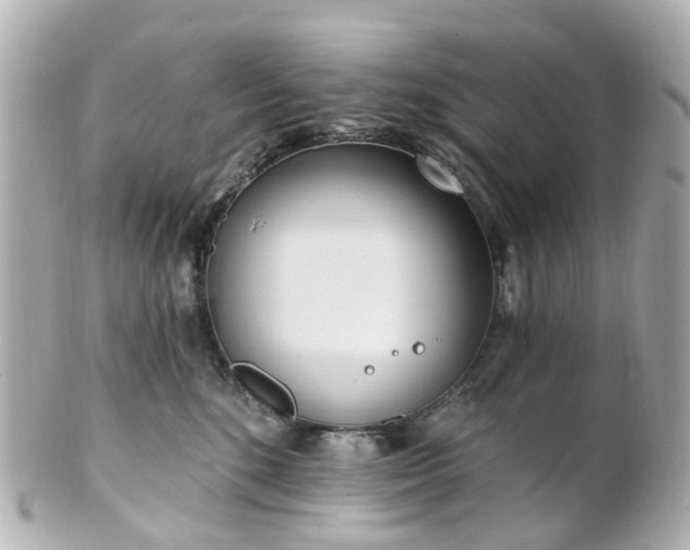 X0000100910520200807011246
