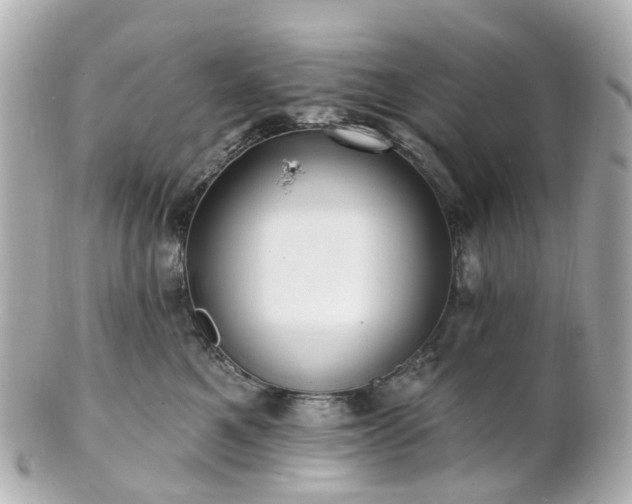 X0000100910521200807011246
