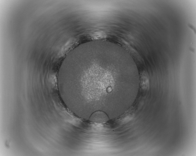 X0000100910523200807011246