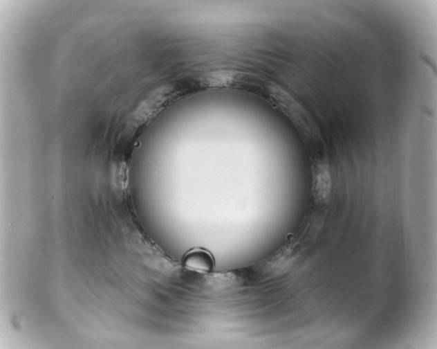 X0000100910525200807011246